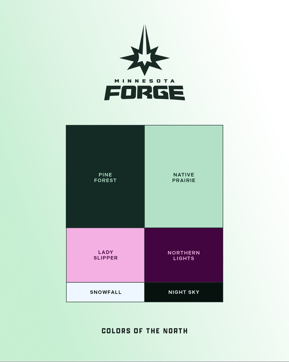 MinnesotaForge tweet picture