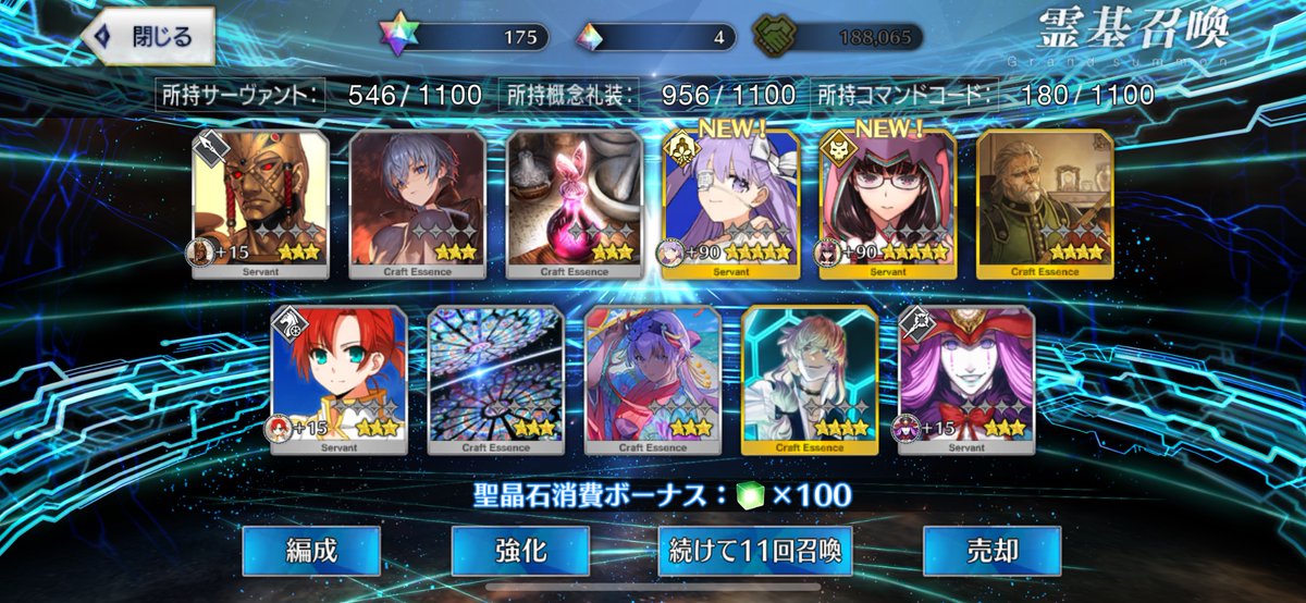 bakusi333's tweet photo. プロテアひけたー https://t.co/dwtJ7ovAAF