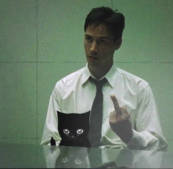 BroRhood's tweet photo. Fuck you Higher Bro... 

0xc318edd838de5bddef6adf091ee2e363e37170cc

$BRO https://t.co/54aAdHkzmf