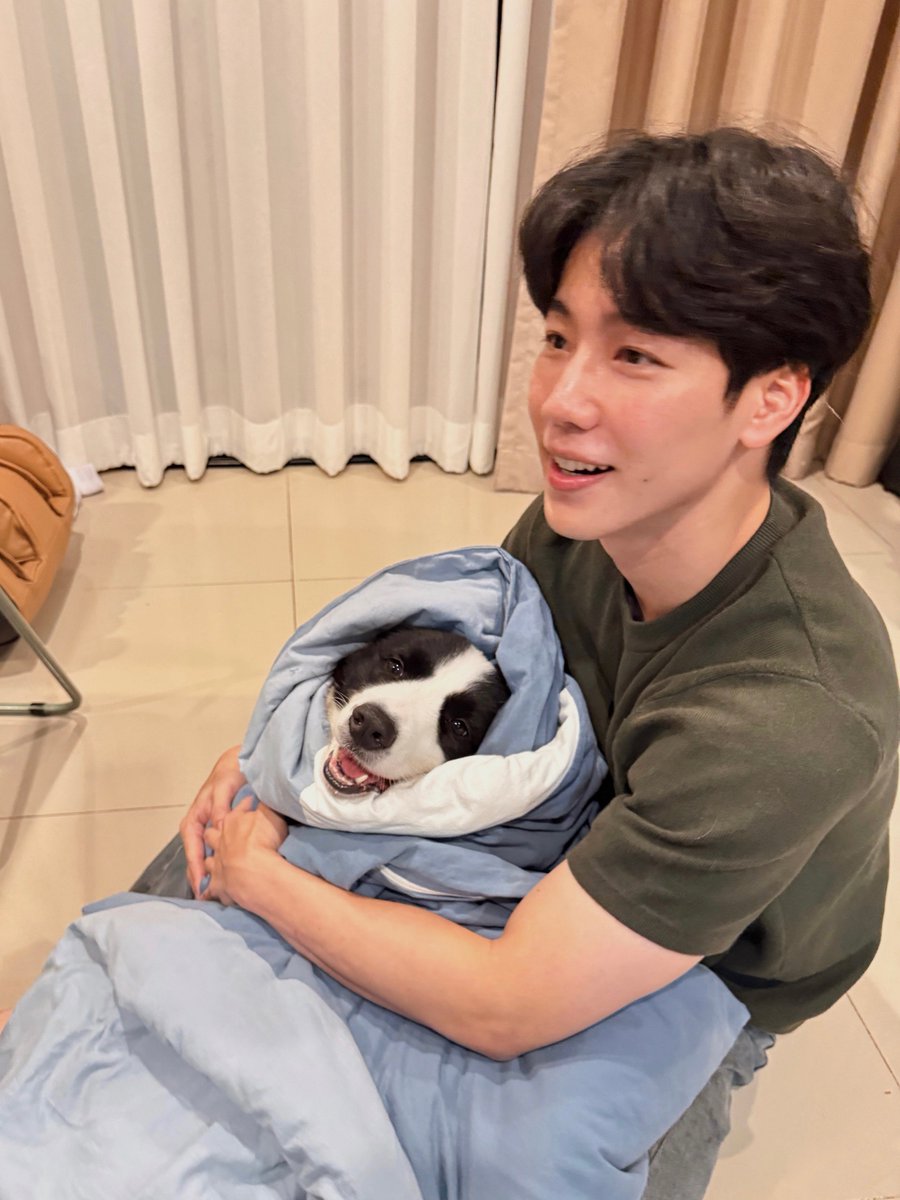 ice_eepp's tweet photo. ก็ถูกรักมาเป็นอย่างดี ลูกคนแรกนี่นาาา ~ 💤🍼💖🐶

#sammerbcollie
#warwanarat @warwanarat https://t.co/TiPK0HgHeE