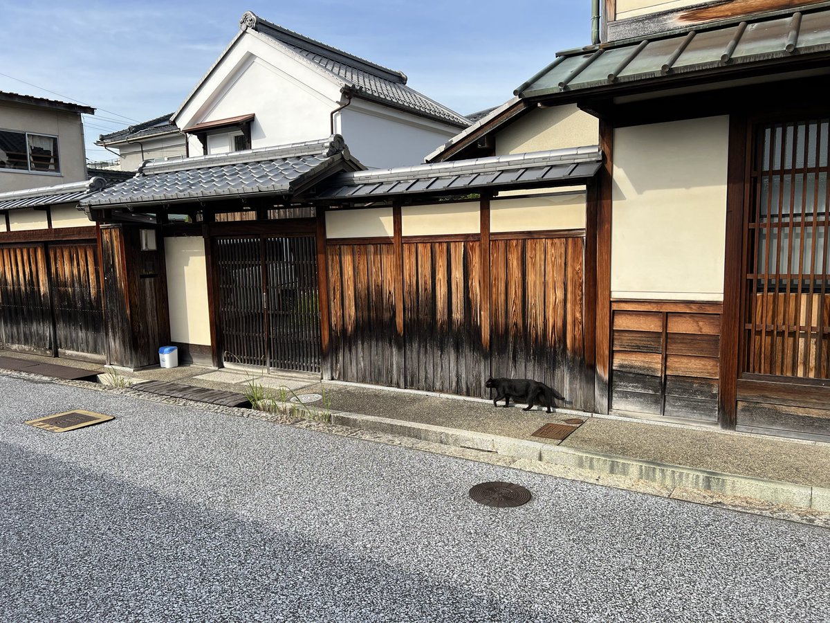 greentea_2015's tweet photo. 滋賀県で観光した記憶が無かったので近江八幡に行ってきました。こんな感じの街並み好きなので、暑くても街ブラ楽しかったな。ここから琵琶湖近くにある長命寺温泉まで歩くのはしんどかったけどね🫠 https://t.co/tVDJUUFhru