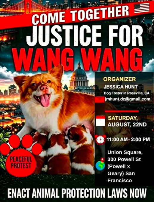 OccupyRedding's tweet photo. Please SHARE! Saturday August 22nd San Francisco California Protest #JusticeForWangWang #China https://t.co/K8XIownTFx