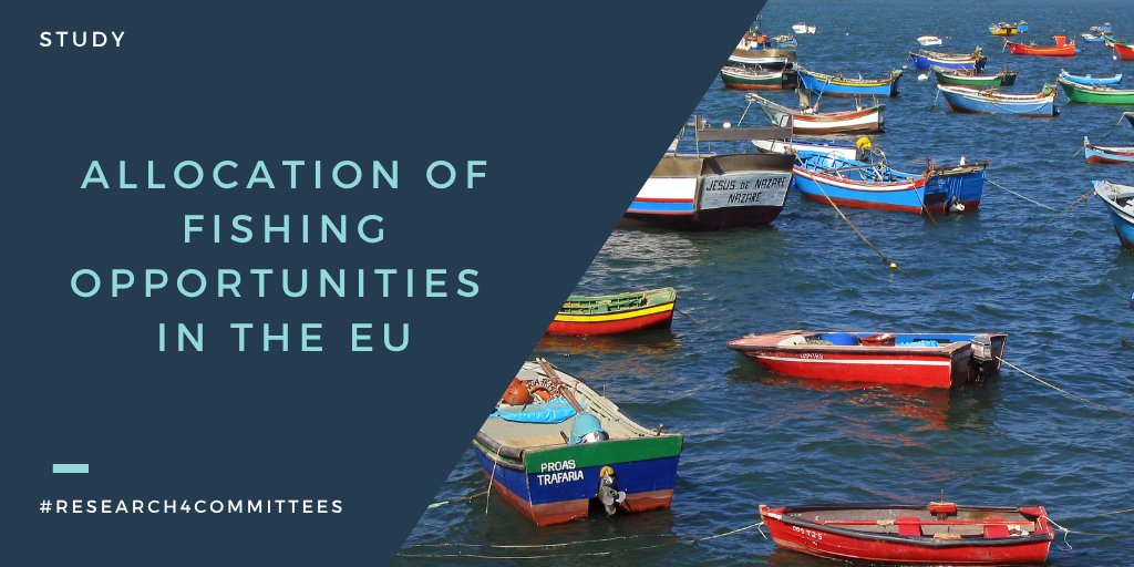 PolicyPECH's tweet photo. Our study examines four key questions:
🎣 How are fishing opportunities currently allocated?
 🇪🇺 How different are national systems?
 📜How closely do they reflect Article 17 of the CFP?
 🌊What are the consequences?
Discover the findings our latest study: https://t.co/yuy7O6HAHw https://t.co/VihM7CTEjF