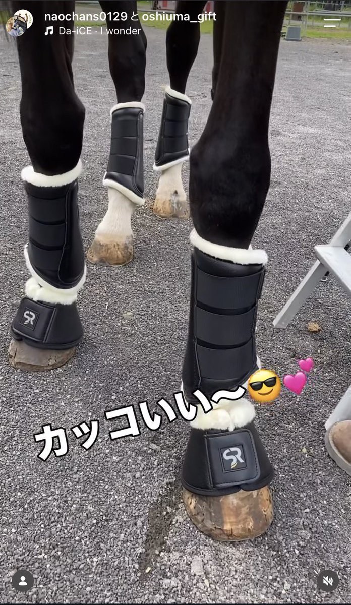 oshiuma_gift's tweet photo. トーホウバッカスくん宛に
ご支援頂いたプロテクターのお礼動画
を投稿して頂きました！

詳しくはオーナー様のインスタをご覧ください👀✨

https://t.co/nMOd066yU1

ご支援者様、誠にありがとうございました😭 https://t.co/3AUMNClhWV