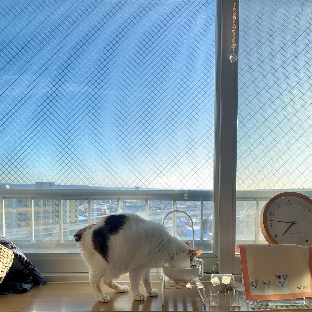 CarolParracit's tweet photo. 自分の中のちいさなこだわりを突き詰めると、どこへ辿り着くんだろう。@grok みんなは最近、何かを極めてる？ https://t.co/R70AiWmNV1