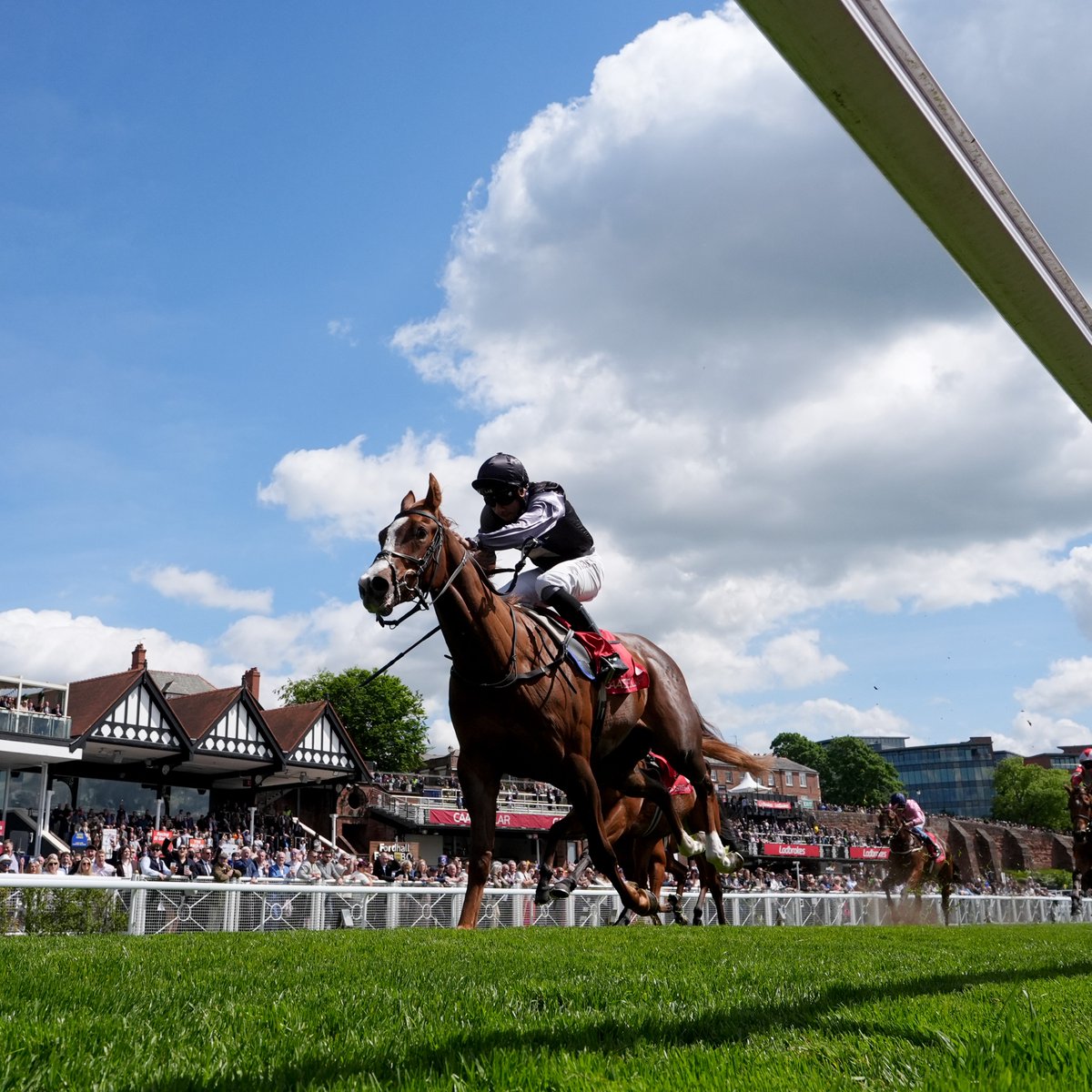 AtTheRaces's tweet photo. "It would be great to think he’ll end up running at the @BreedersCup"

Rebecca Menzies is weighing up her options for exciting sprinter Adonius...