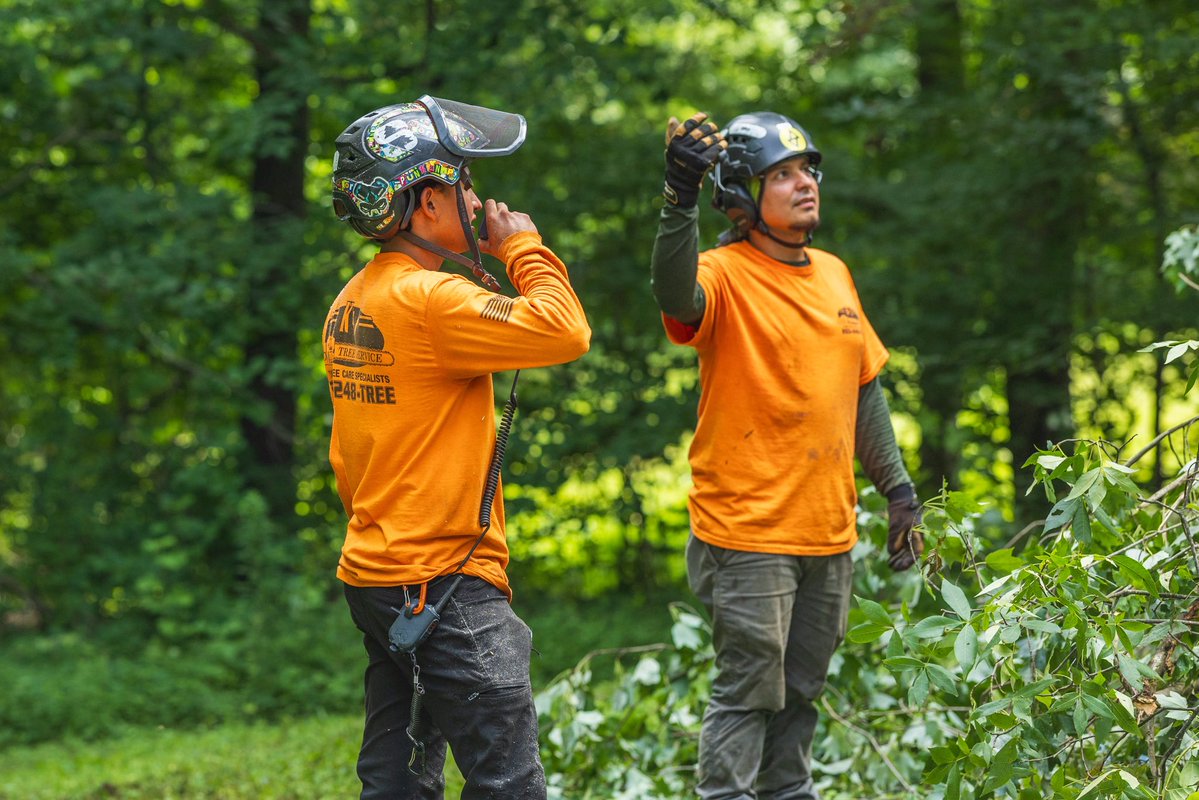 KJTreeService's tweet photo. Teamwork makes the tough jobs look easy. 💪🌳

Clear communication, the right equipment, and a crew that works together every step of the way.

#KJTreeService #TreeService #Teamwork #TreeCare #Arborist https://t.co/89LID2yNUJ