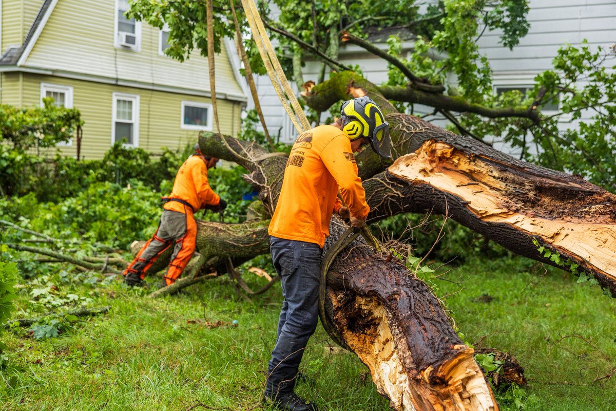 KJTreeService's tweet photo. Teamwork makes the tough jobs look easy. 💪🌳

Clear communication, the right equipment, and a crew that works together every step of the way.

#KJTreeService #TreeService #Teamwork #TreeCare #Arborist https://t.co/89LID2yNUJ
