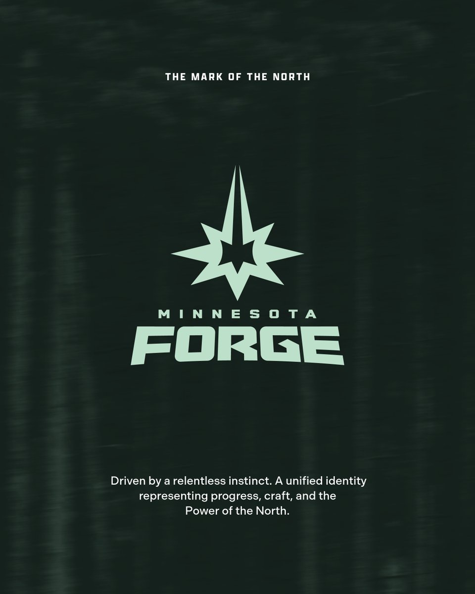 MinnesotaForge tweet picture