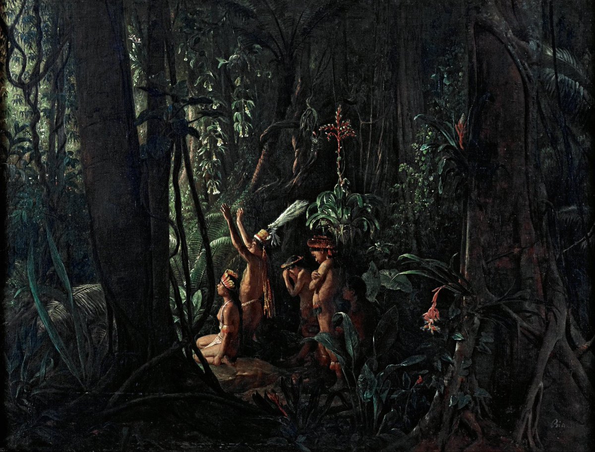 etnologiaart's tweet photo. ❁ Pinturas retratando indígenas da Amazônia feitas pelo pintor francês François-Auguste Biard.

François-Auguste Biard, que visitou o Brasil em 1858, explorou o Espírito Santo e a Amazônia, onde retratou cenas da natureza e da vida indígena com um certo viés romântico. https://t.co/Edpv5JyIv6