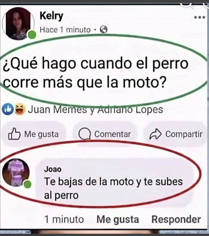 MsCiencia2's tweet photo. Hay que ver qué combustible usa el perro 🤔 https://t.co/QhoZm5dayL