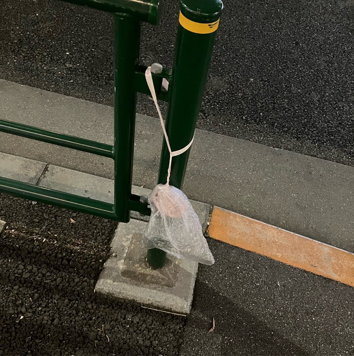 tuck7155's tweet photo. ふと見たらまだあった https://t.co/b4AKfbeREq