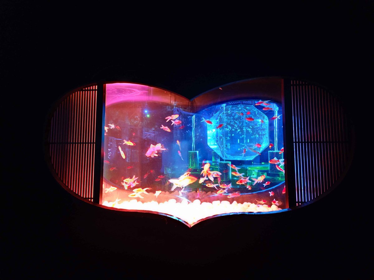 sorasieru24's tweet photo. https://t.co/ObAIhkESek