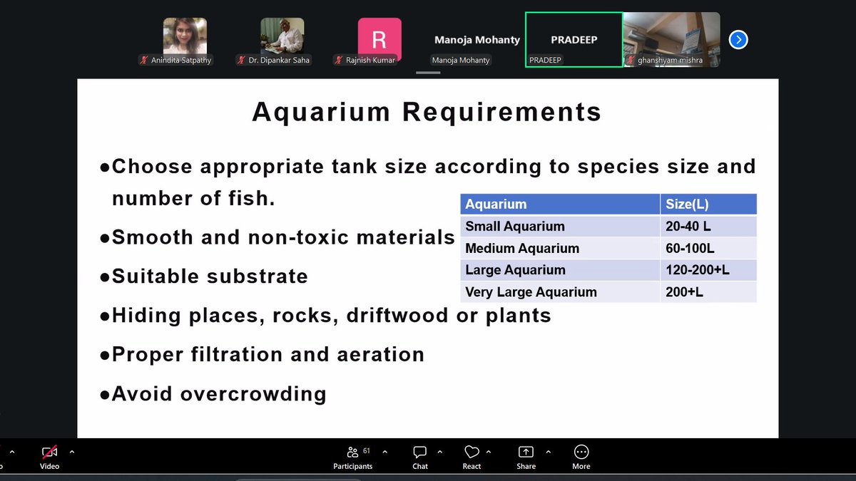 BasixKrishi's tweet photo. The second day of virtual training on “Introduction to Ornamental Fisheries &amp; Home Aquarium” focused on fish care, breeding practices, feed management and livelihood opportunities in ornamental fisheries. @BasixKrishi @FisheriesGoI @nfdbindia @sfacindia https://t.co/w3dTqqxh5O