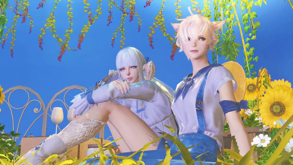 Am4tis_'s tweet photo. ひまわりたくさん🌻
夏すぎるね~かわいい𛰙᭜𖫴𖫰𖫱𖫳𖫲𖫲𖫳𖫴𖫰𖫱꛰ ᭜𖫴𖫰𖫱𖫳𖫲𖫲𖫳𖫴𖫰𖫱꛰ಣ

 #みけのおへや https://t.co/QcrGF1jslI
