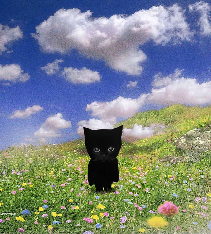 BroRhood's tweet photo. Bro.. The world Is beautiful as it is. 

0xc318edd838de5bddef6adf091ee2e363e37170cc

$BRO https://t.co/ZS29DCKtwg