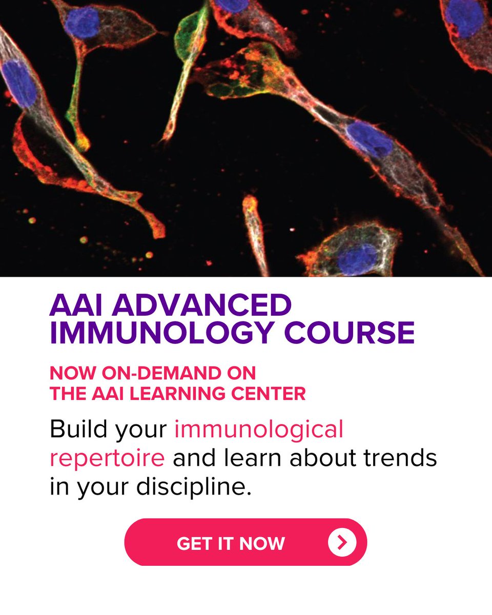 ImmunologyAAI's tweet photo. Unlock the secrets of the immune system from anywhere! 🔬 AAI's Advanced Immunology Course On-Demand offers expert-led learning. Start your journey today: https://t.co/X16Y1nR4uu #immunology #AAIcourses #science https://t.co/s8ozrQ98Db