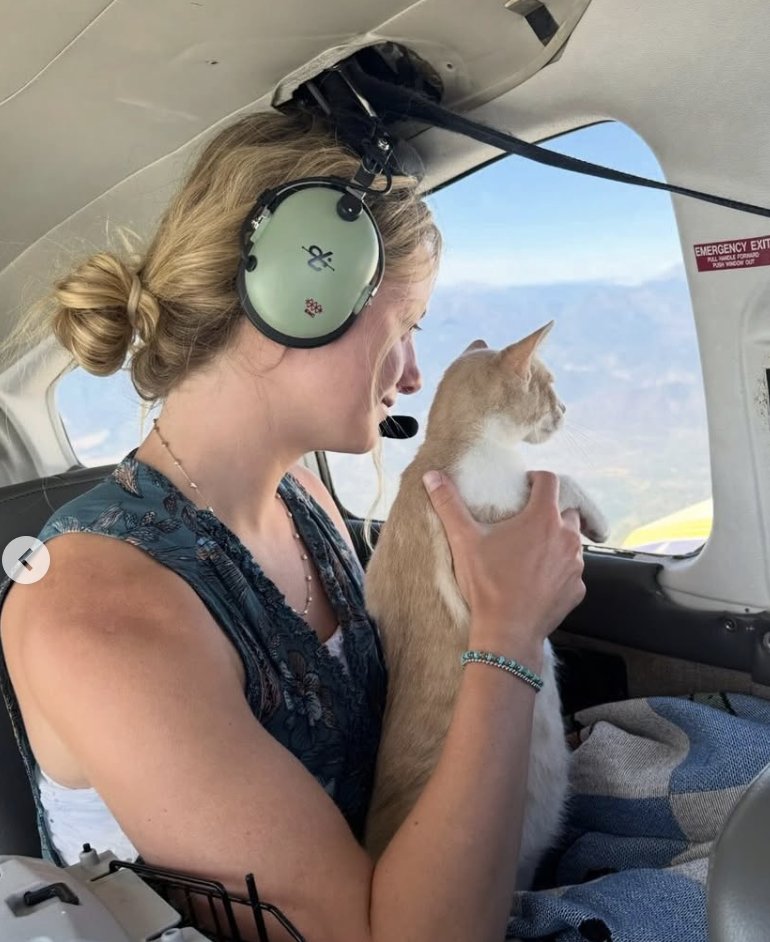 PilotsNPaws's tweet photo. This sweet kitten’s life changed because a group of strangers came together with one goal: getting her to safety including Foster Kitten Mama & PNP pilot Captain Phillipe Verkin who provided her #FreedomFlight #WhyWeFly #ReasonToFly #pilotlife https://t.co/jfo2niRLu6