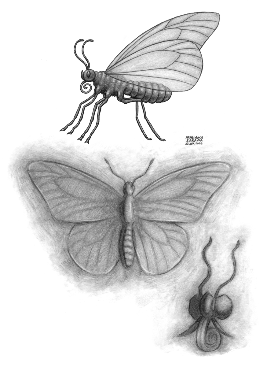 MirianaSarana's tweet photo. - Butterfly -
Butterfly references and I experimented with shading again.
#art #artwork #drawing #pencilart #graphite #pencil #graphitedrawing #sketch #butterfly #insect #traditionalart #animalart #wildlife https://t.co/NfZjcXFKbm