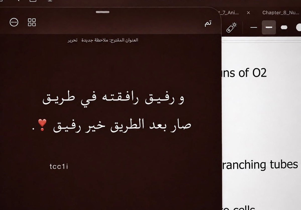 tcc1i's tweet photo. و رفـيق رافقته في طـريق
صار بعد الطريق خير رفـيق❣️ https://t.co/7tE4y3OtiQ