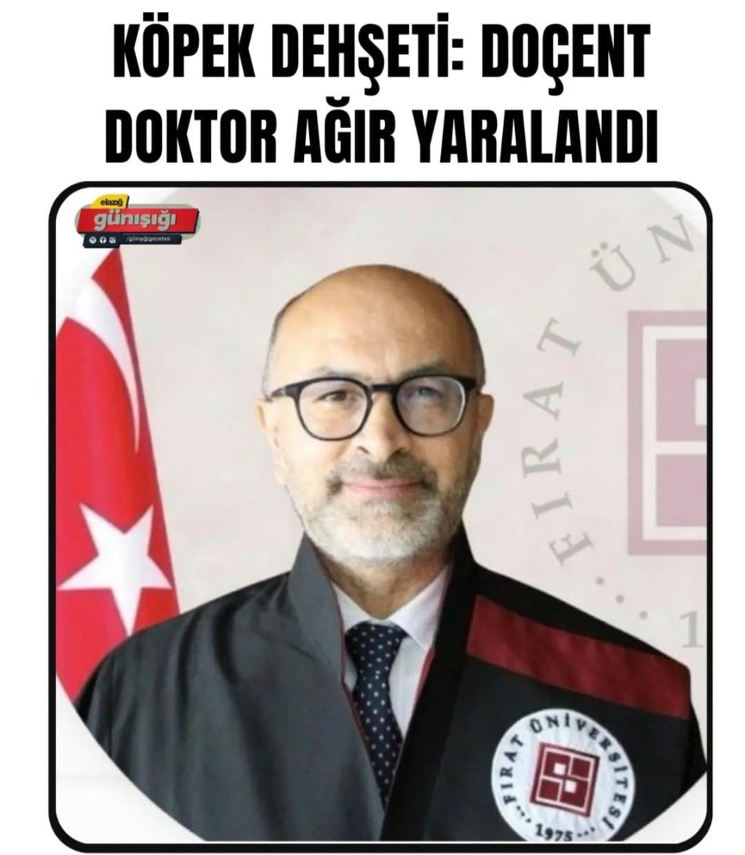 GuvenliSehirler's tweet photo. Elazığ Fırat Üniversitesi öğretim üyesi Prof. Dr. Zülfü Genç kampüs içinde başıboş köpeklerin saldırısı sonucu elektrikli bisikletten düşerek başından ağır yaralandı.

Ambulansla hastaneye kaldırılan Genç tedavi altına alındı.

@elazig_valiligi @ElazigBld https://t.co/TsaaOI0tCs