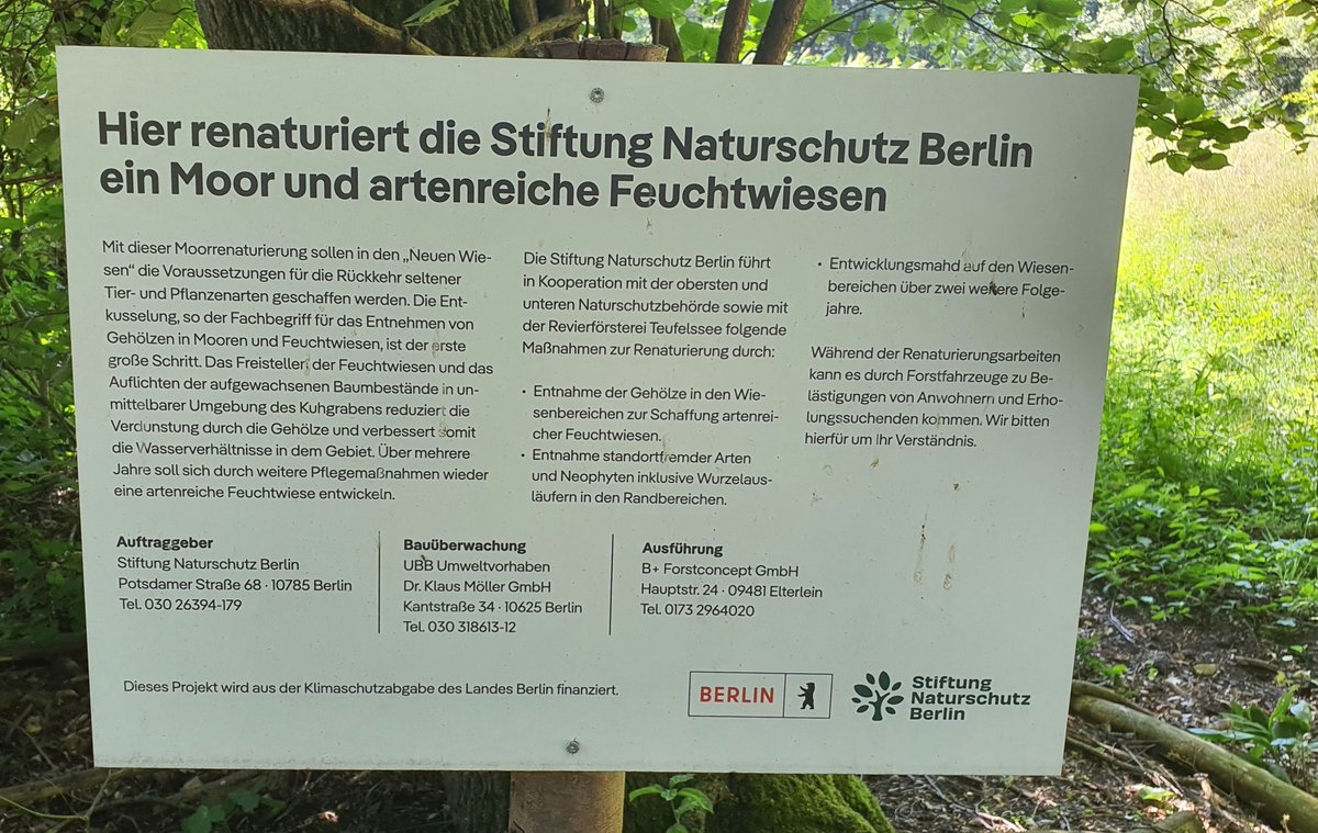 Teilhabe_4_all's tweet photo. In den "neuen Wiesen" wird ein #Moor renaturiert. Endlich konnte ich es mir mal anschauen. Bin gespannt, wie sich die Fläche entwickelt. #Stadtnatur #Köpenick https://t.co/4Qrokmy6aA