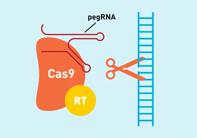 A conceptual 3D illustration of prime editing, showing a molecular machine (Cas9 and reverse transcriptase) interacting with a DNA double helix to 'search and replace' a specific genetic sequence.