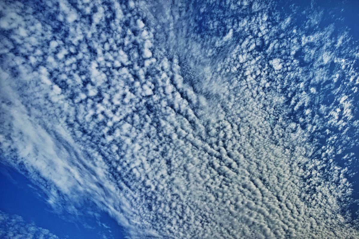 HaraKazuo's tweet photo. 雲の名前は知らない - 1872
tag_20260812
#sigma #dp0 #quattro #空 #雲 #風景 #自然 #夏 #朝 #細胞 #鱗 #天の川 #ざらざら #豊中 #大阪 #雲の名前は知らない #namaraexpress https://t.co/Mu6XQsp3lG