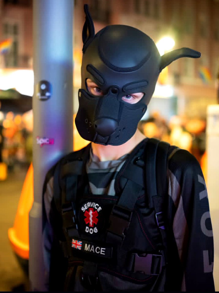 john_arts33's tweet photo. All suited up and ready for a night out 🖤🐶🐾✨

#Pup #Puppy #PupVibes #PupBoy https://t.co/XSMJcX2vqS