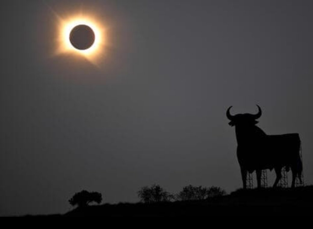 eliaslevyb's tweet photo. La mejor foto del eclipse... De Ander Gillenea / AFP https://t.co/ivNSXJHqNv