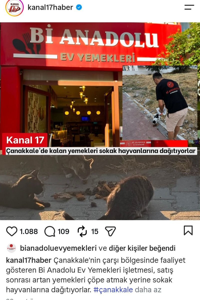 KediTehlikesi's tweet photo. Gıda artıklarını sokaklara saçmak çözüm değil, hijyen krizidir! Çanakkale'de yola dökülen bu yemekler başıboş kedi popülasyonunu artırıp çevreye hastalık yayma riski taşıyor. İyilik adı altında sokakların kirletilmesine ve kontrolsüz çoğalmaya izin verilemez. @canakkaleDKMP https://t.co/VkExbBcadI