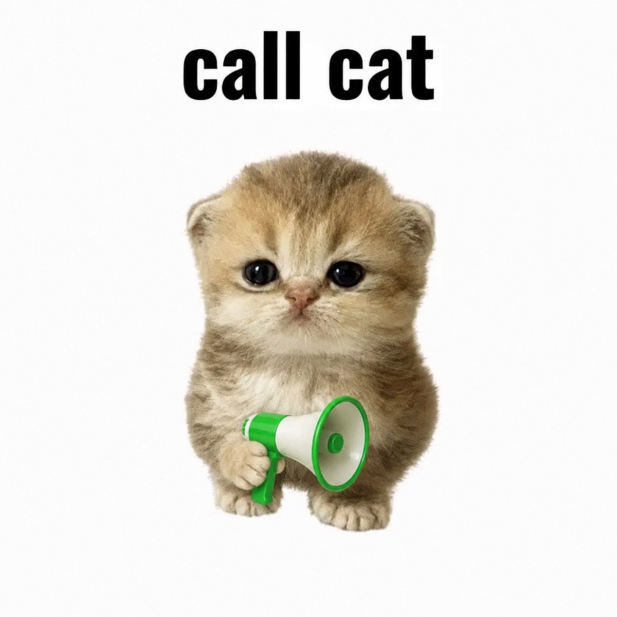 lebombjam's tweet photo. This is an insane narrative but it should be a meme that people actually want to push!

https://t.co/essPnXRMhM

call cat is perfect, i am the dev of tap cat which ran for the pumpcard announcement!

send call cat, call him out and earn https://t.co/Rpl4KcAsYk