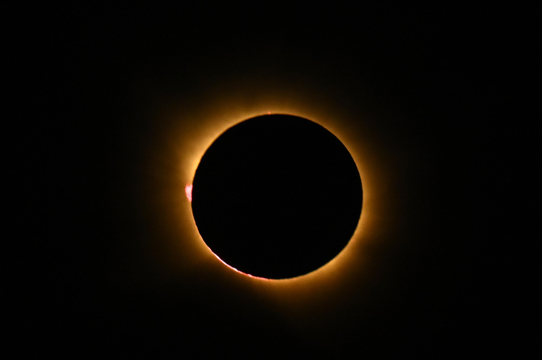 AjuntamentVLC's tweet photo. 🌑 Espectaculars imatges de l'eclipsi des de l'#Albufera.

#EclipsiVLC #EclipseVLC #EclipsesCV #Eclipse2026 https://t.co/6xt46EES8T