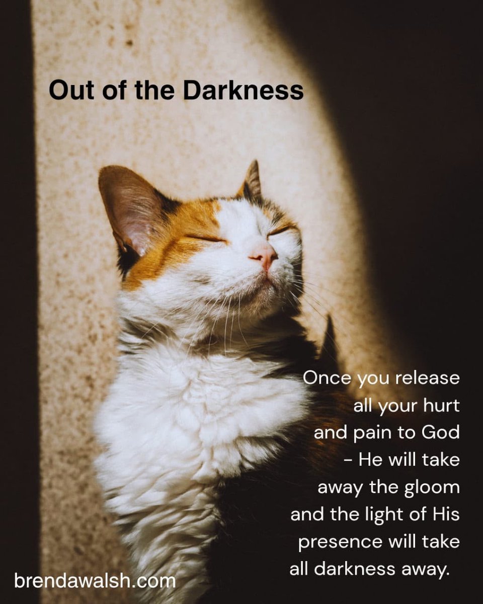 brendakwalsh's tweet photo. Today's Daily Devotional Picture: Out of the Darkness
~ Once you release all your hurt and pain to God - He will take away the gloom and the light of His presence will take all darkness away. ~
#Christian #ChristianLiving #dailydevotional #release #hurt #pain #presence #light https://t.co/31CA3P1mud