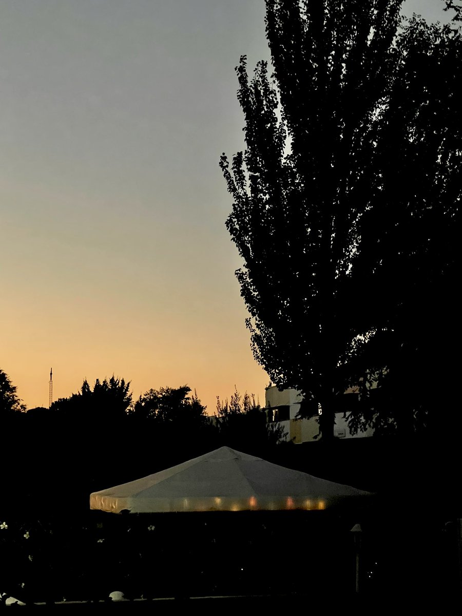 lukeynewtsm's tweet photo. Things I can cross off my list: seeing a total solar eclipse. It was really cool to see how it suddenly got dark; the light was beautiful. https://t.co/zKQQNZji6V