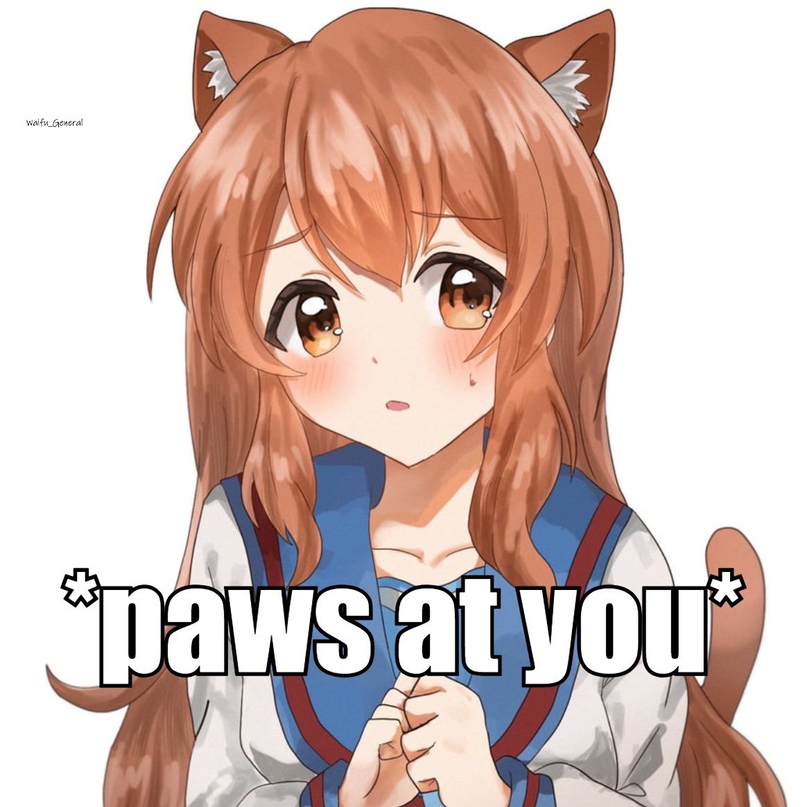 Based_Asahina's tweet photo. Meow https://t.co/nyMPv4bfII