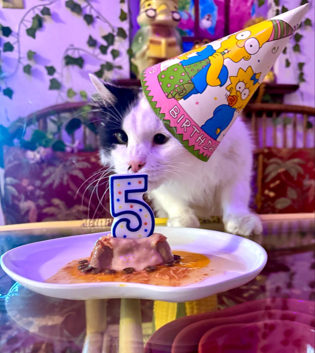 itslittletunny's tweet photo. It’s his 5rd B-day 🥹🙏🎈🎉 https://t.co/rqHIhJlHaD