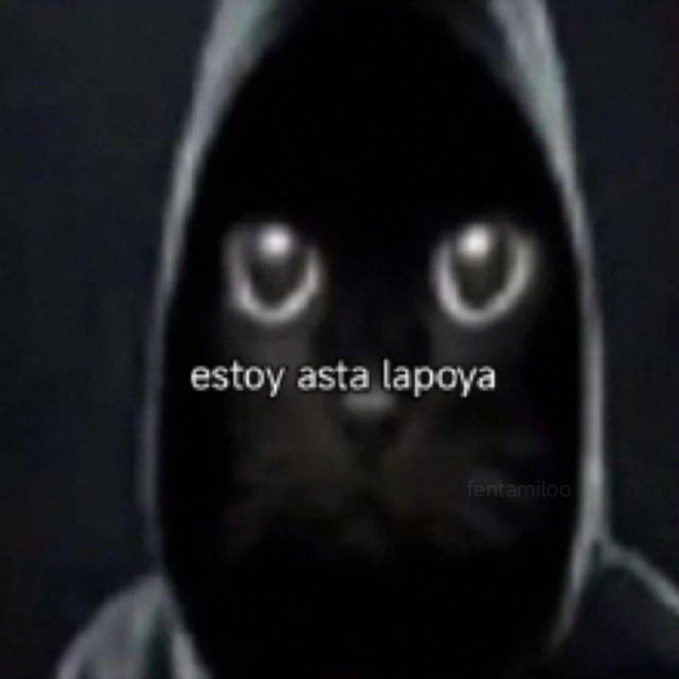 annjmx's tweet photo. @keonhositoo y yo si ni un puto peso https://t.co/ExlXWeZTpq