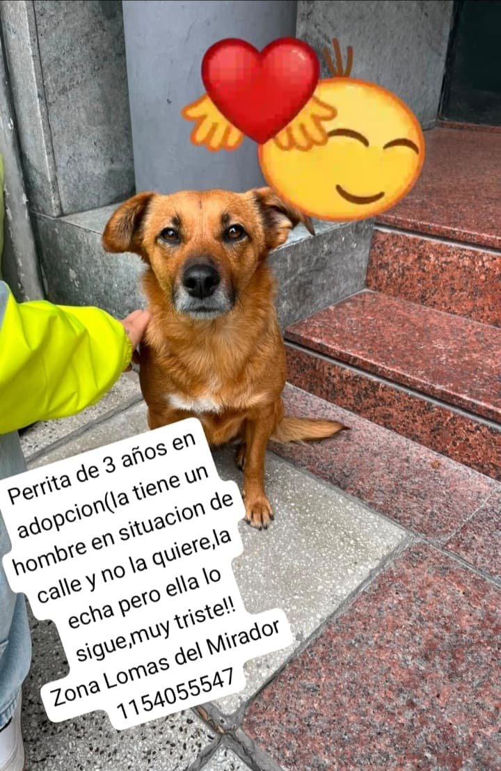 patripeyrou's tweet photo. Difundimos https://t.co/6SAeSjiITN