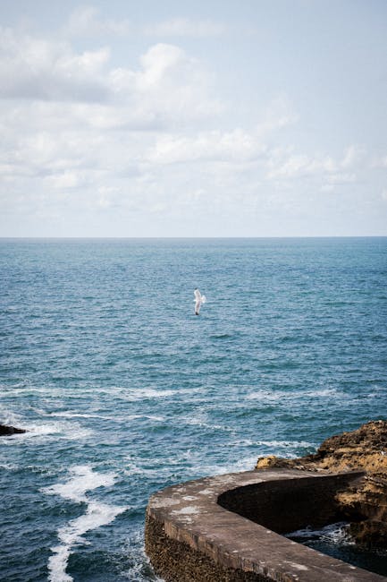 GordonAguacj6's tweet photo. في كل الابتسامة يعانق بين نسمات لحظة، أحلامهم الليل. damion brandom🔹 https://t.co/zUCBXe5DKj