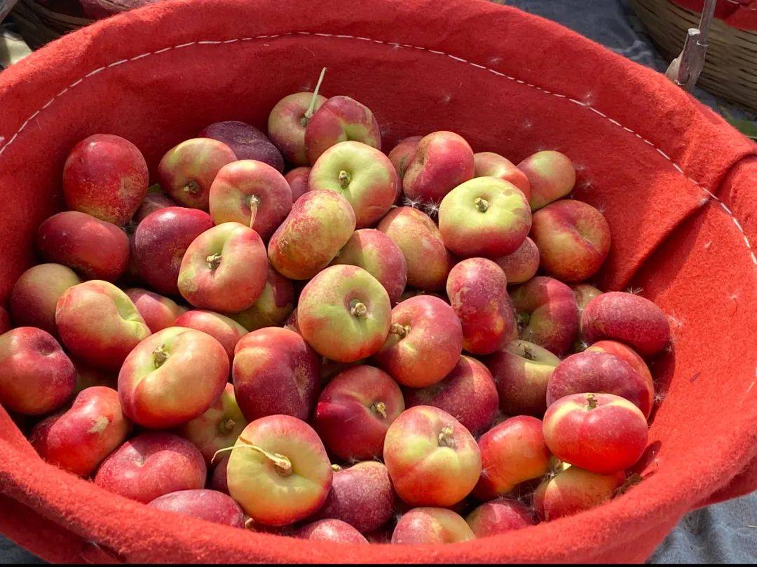 EleonoraKewiew's tweet photo. This organic cherry tomato tastes super sweet, with a juicy burst when bitten—zero weird aftertaste, perfect for salads or snacking! ， https://t.co/lmkQkjmcSf