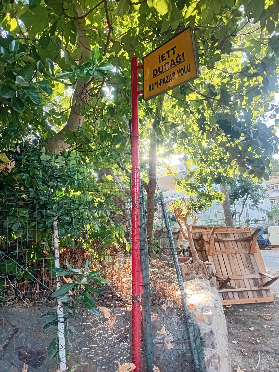 Tramvay_Seven's tweet photo. @ietttr 1-70364623581 numaralı başvurum için: Merhabalar, 1. resimdeki "BU/1-PAZAR YOLU" yazısını söküp "BU/1-ÇINARLIK SOKAK" yapmanızı rica ediyorum. 2. resimde ise yeni açık durak alıp okla gösterdiğim yerde yeni "BU/1-PAZAR YOLU" Durağını yapın @ietttr @iettdestek @IBBcozummerkezi https://t.co/9Omu60AMY1