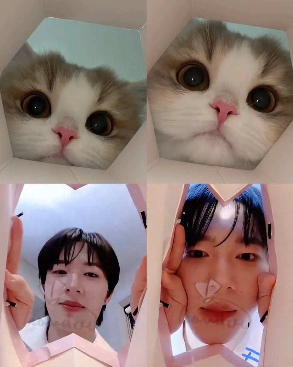sHXkkkk's tweet photo. เม้วฉงฉัย 👀🛍️ https://t.co/zi2j9RN3l0