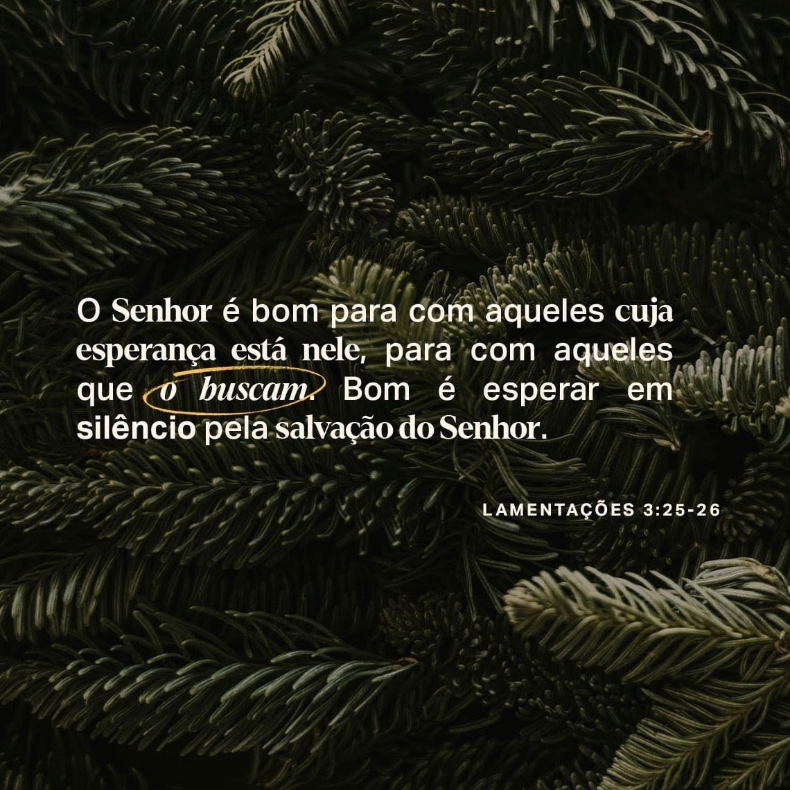MensageirodaPa6's tweet photo. A Palavra nos lembra que o Senhor é bom para aqueles que esperam nEle. Muitas vezes, enquanto esperamos pela resposta, Ele está preparando nosso coração, organizando circunstâncias e nos ensinando a confiar mais profundamente. Não permita que a espera roube sua esperança. https://t.co/Nx707JB30b