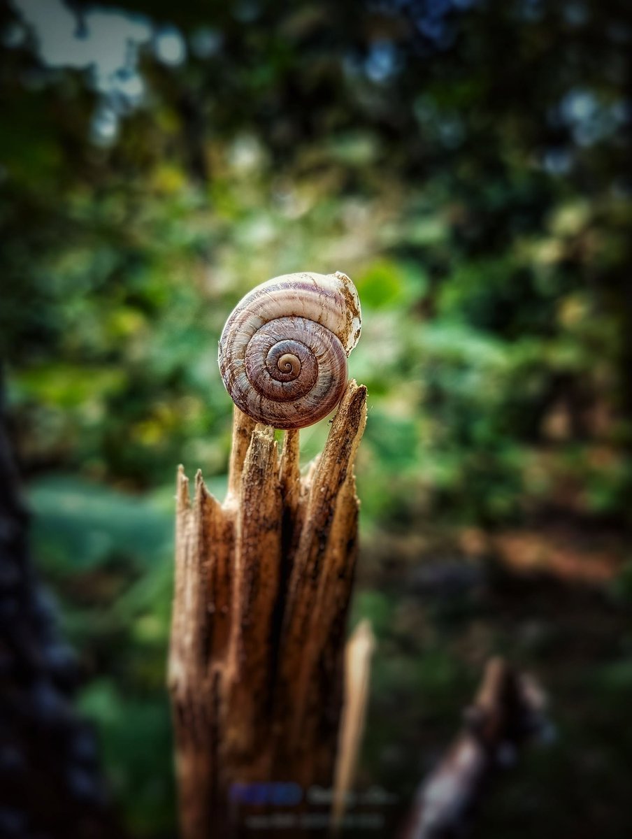GarlandWinlj98's tweet photo. patience is rarely a virtue; usually, it is just the inability to find a faster way out of a loop. https://t.co/90uOKoFG66