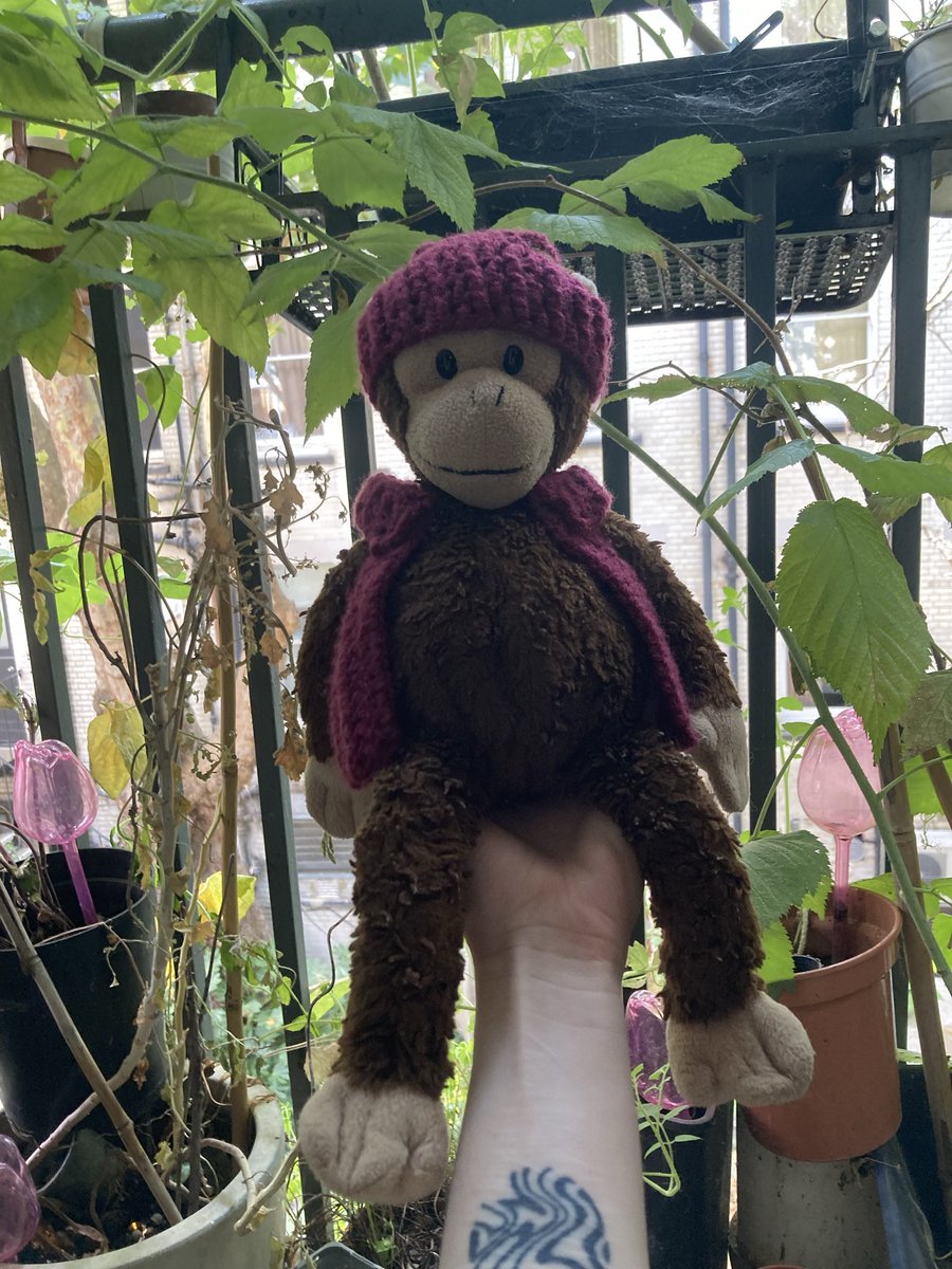 arseholespritz's tweet photo. i crocheted him a little outfit does anyone care https://t.co/xm7egdGFz4