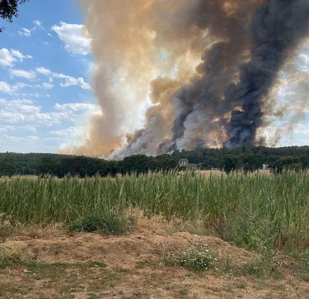 asso_psfdf's tweet photo. 🔥 #Feu de végétation en cours commune de Saint-Just [Ille-et-Vilaine - 35]

🌳 10 hectares de parcourus
🚒 90 sapeurs-pompiers sont mobilisés
__

📸 Temps Breton

🚫Évitez le secteur
🚒Facilitez l'accès aux secours

#incendie #FeuxDeForêt #SaintJust #IlleEtVilaine https://t.co/1EoNqmeNzq