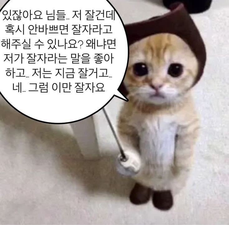 lukcks5732's tweet photo. 다들 좋은밤되세요~~!! https://t.co/oZfCJGwh8G