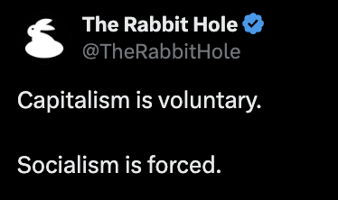 TheRabbitHole tweet picture