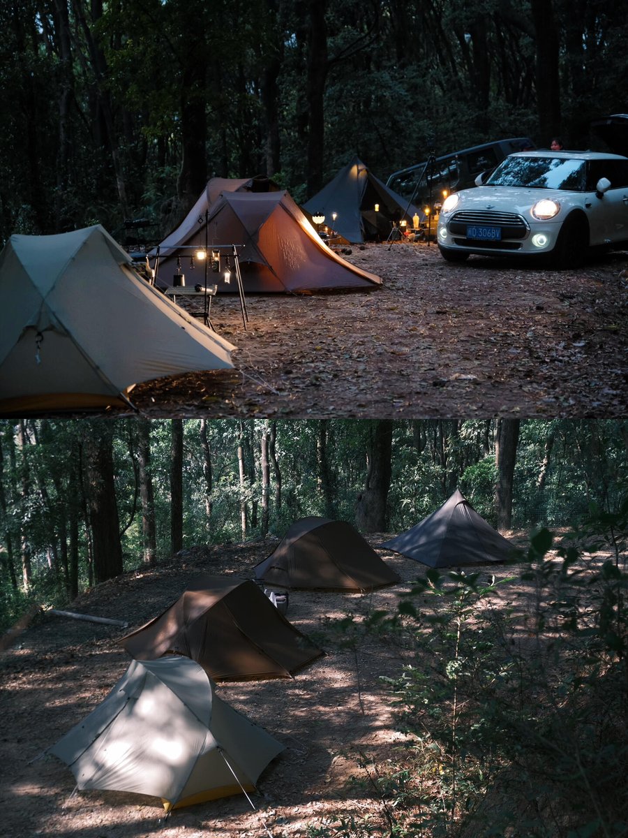 GalinaGrandmont's tweet photo. Woke up to misty pine trees and coffee that tasted like sunshine. This quiet camp spot was exactly the reset I needed. https://t.co/vmzbukXfoz